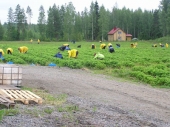 Finland Finland